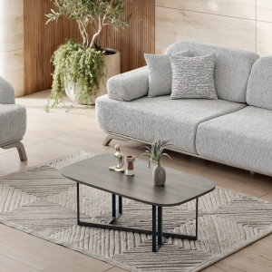 Zara Koltuk Takımı